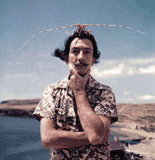 Dalí GIF - Dalí GIFs