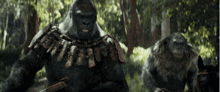 Kingdom Of The Planet Of The Apes Monkey GIF - Kingdom Of The Planet Of The Apes Monkey Planet Of Apes GIFs