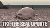 Seal Tf2 GIF - Seal Tf2 Tf2 Update GIFs