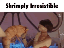 Shrimply Shrimply Irresistible GIF - Shrimply Shrimp Shrimply Irresistible GIFs