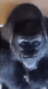 a gorilla is sticking its tongue out in a blurry photo .