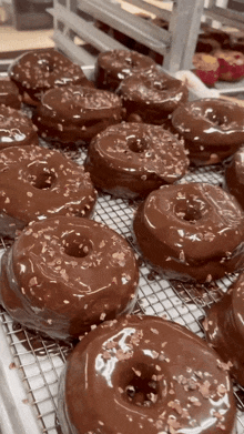 Chocolate Donuts Doughnuts GIF - Chocolate Donuts Donuts Doughnuts GIFs