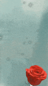 a painting of a woman 's face with red petals falling from the sky