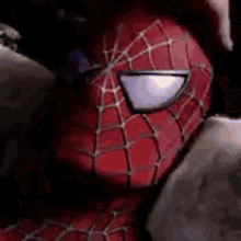 Spider Man GIF - Spider Man Toby GIFs