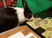 Bunny Board Games GIF