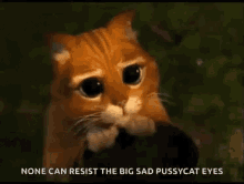 Eyes Puss In Boots GIF - Eyes Puss In Boots Please GIFs