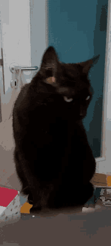Cat Meow GIF - Cat Meow Black Cat Meow GIFs