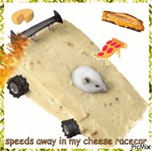 Mouse Rat GIF - Mouse Rat Cheese GIFs