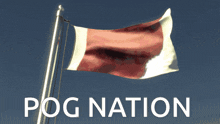 Flag Usa GIF - Flag Usa Pog GIFs