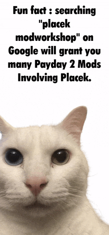placek i love placek payday 2 mods placek we all like him placek cat
