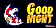 Good Night Snoopy GIF - Good Night Snoopy Peanuts GIFs