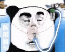 a panda bear is wearing an oxygen mask on his nose .
