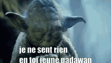 Yoda Meme GIF - Yoda Meme GIFs