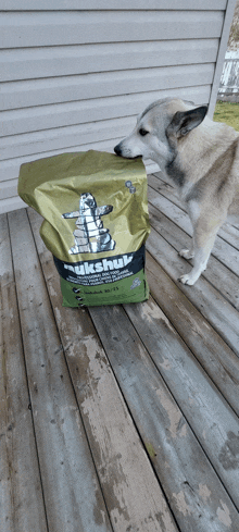 Hadassa Allison Zarya The Laika GIF - Hadassa Allison Zarya The Laika Dog Chews On Dry Dog Food Bag GIFs