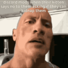 Discord Mod Discord Kitten GIF