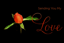 Kalp Sending You My Love GIF - Kalp Sending You My Love Rose GIFs