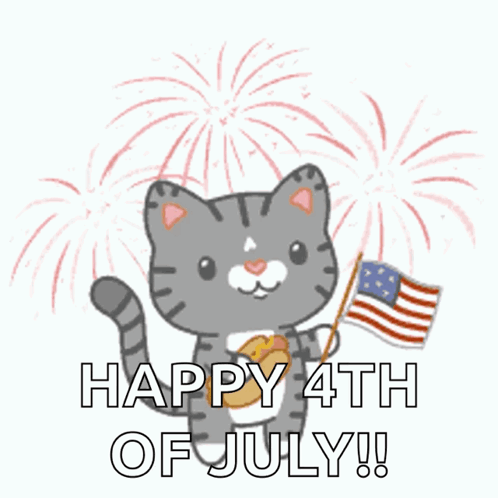 4th of july pool gif