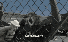 So Hungry GIF - Icecream Zombie Eat GIFs