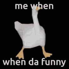 Da Funny Duck GIF - Da Funny Duck Dance GIFs