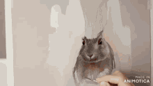 a person is painting a rabbit on a canvas with a brush ..