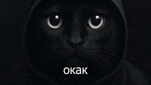 a black cat is wearing a hood and the word okak is below it