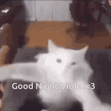 Good Night Violet GIF - Good Night Violet GIFs