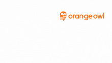 Breaking News Orange Owl Breaking News Orangeowl GIF