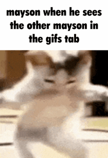 Mayson GIF - Mayson GIFs
