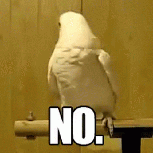 [Image: no-parrot.gif]