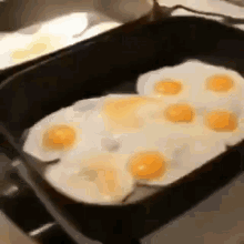 Eggs GIF - Eggs GIFs