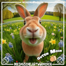 a picture of a rabbit in a field with the words guten moin on it