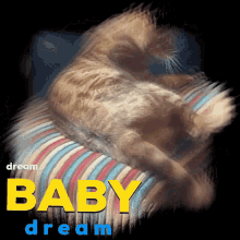 Dream Baby GIF - Dream Baby Dreamy GIFs