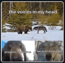 a picture of a bear and a wolf in the snow with the caption " the voices in my head "