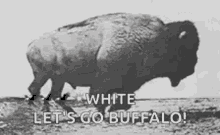 Buffalo Run GIF - Buffalo Run Lets Go GIFs