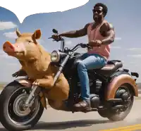a man on a motorcycle with a pig on the back