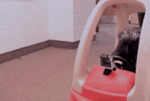 Porcupine Car GIF - Porcupine Car Toy Car GIFs