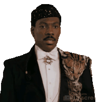Coming To Sticker - Coming To America Stickers