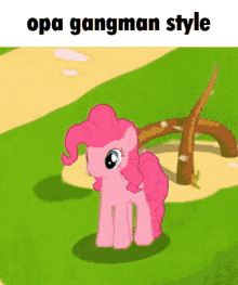 Pinkie Pie GIF