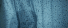 a person standing behind a blue curtain that has a pattern of leaves on it