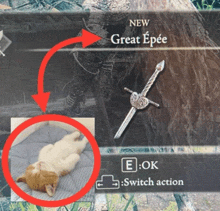 a picture of a cat laying on a bed next to a picture of a sword that says new great epee
