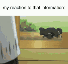 a meme that says my reaction to that information with a picture