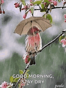 Raining Day GIF - Raining Day GIFs
