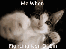 Icon Of Sin Cat Fat GIF - Icon Of Sin Cat Fat Dum GIFs