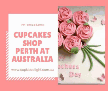 australia cupcakes