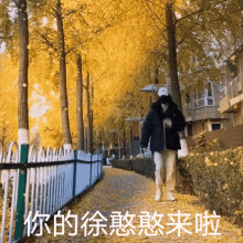 Xu Yiyang Yiyang GIF - Xu Yiyang Yiyang Running Cutely GIFs