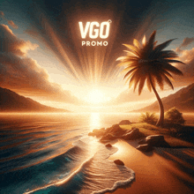 Vgo Promo Vgo Beach GIF - Vgo Promo Vgo Beach Beach Background GIFs