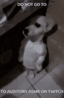 Cursed Dog GIF - Cursed Dog Twitch GIFs
