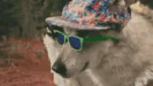 Dog Hot GIF - Dog Hot Party Time GIFs