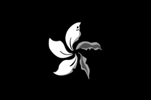 a black and white flower with leaves on a black background
