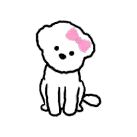 a white poodle with a pink bow on its head .